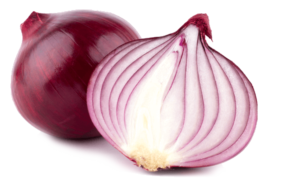 Red onion sliced in half